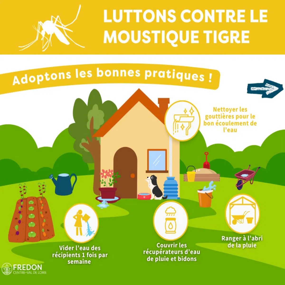 Lutte contre le moustique tigre