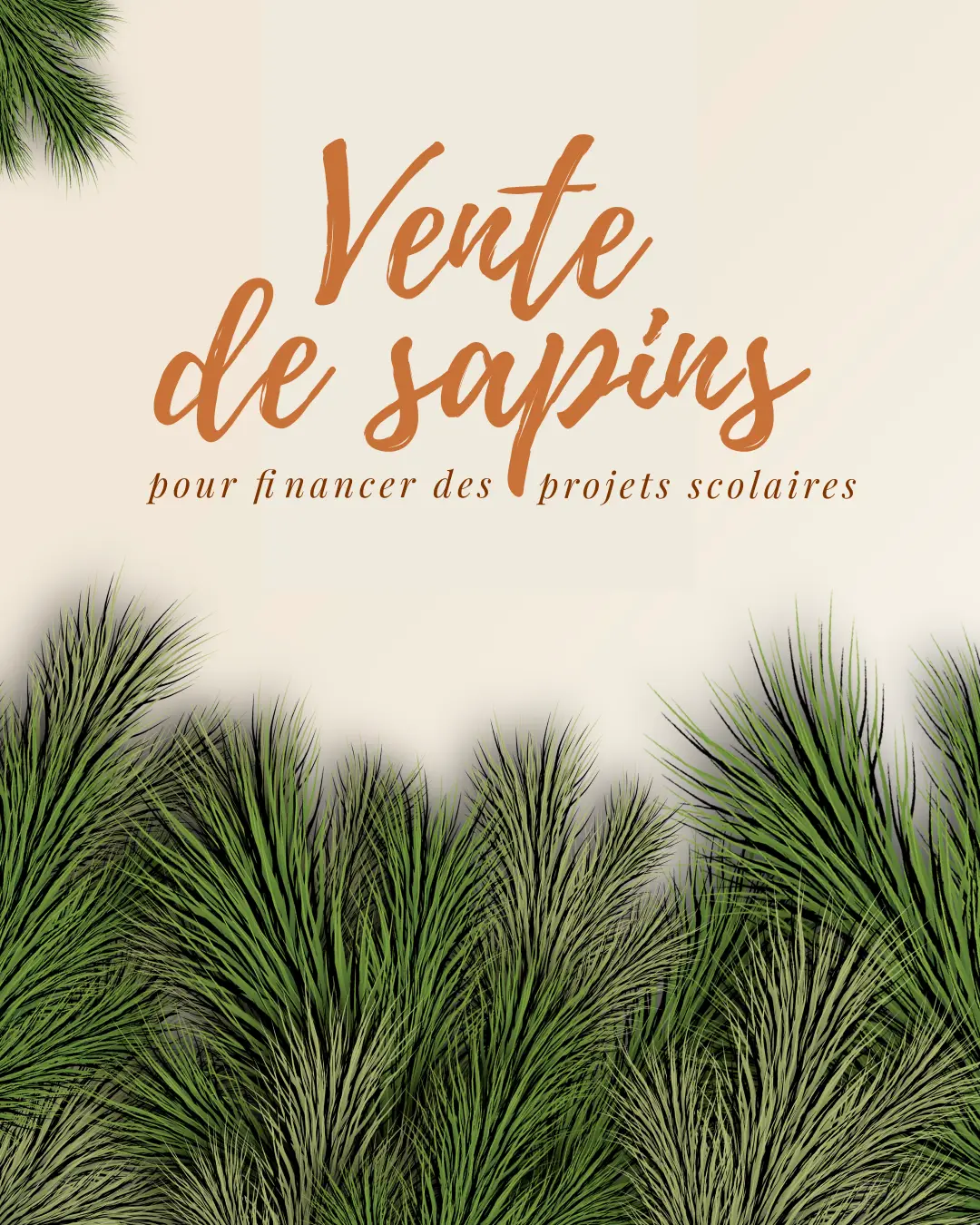 Vente de sapins de Noël