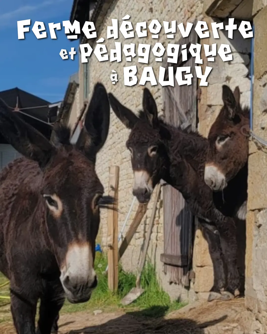 Ferme découverte et pédagogique