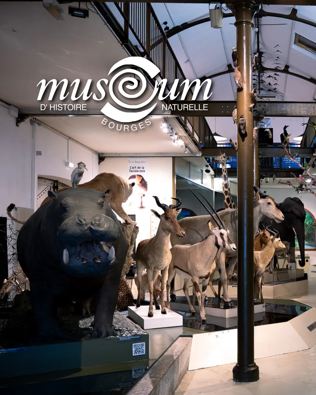 Muséum d'histoire naturelle