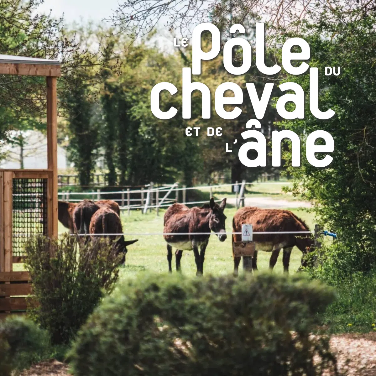 Le Pôle du Cheval et de l’Âne